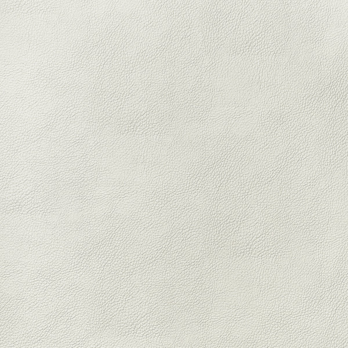 Arcata Ivory Fabric