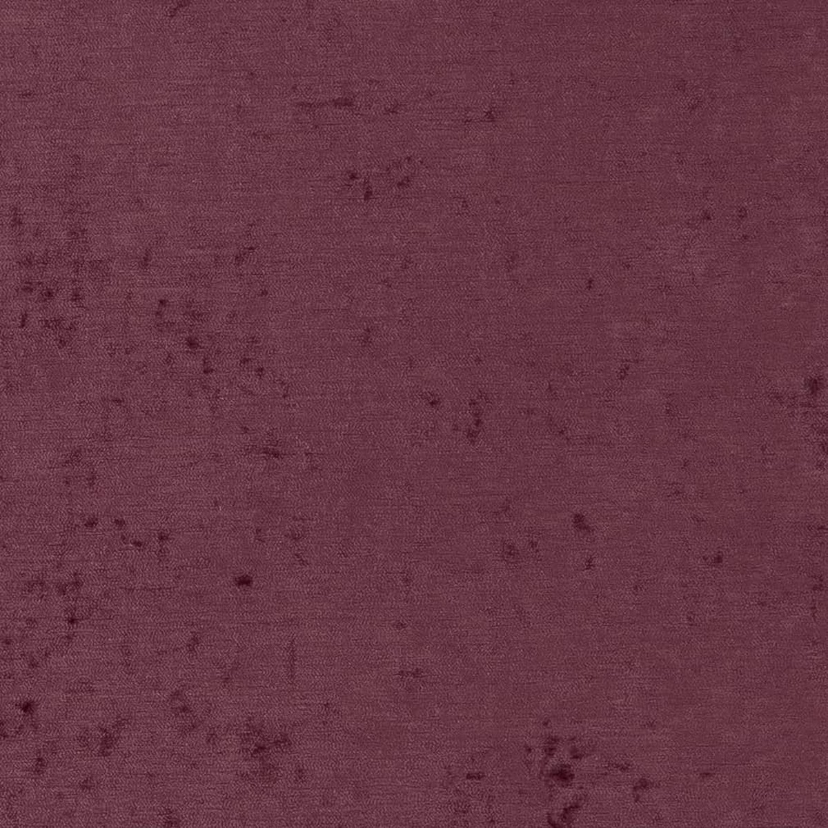 D1914 Plain & Solid Violet Purple Charlotte Fabrics