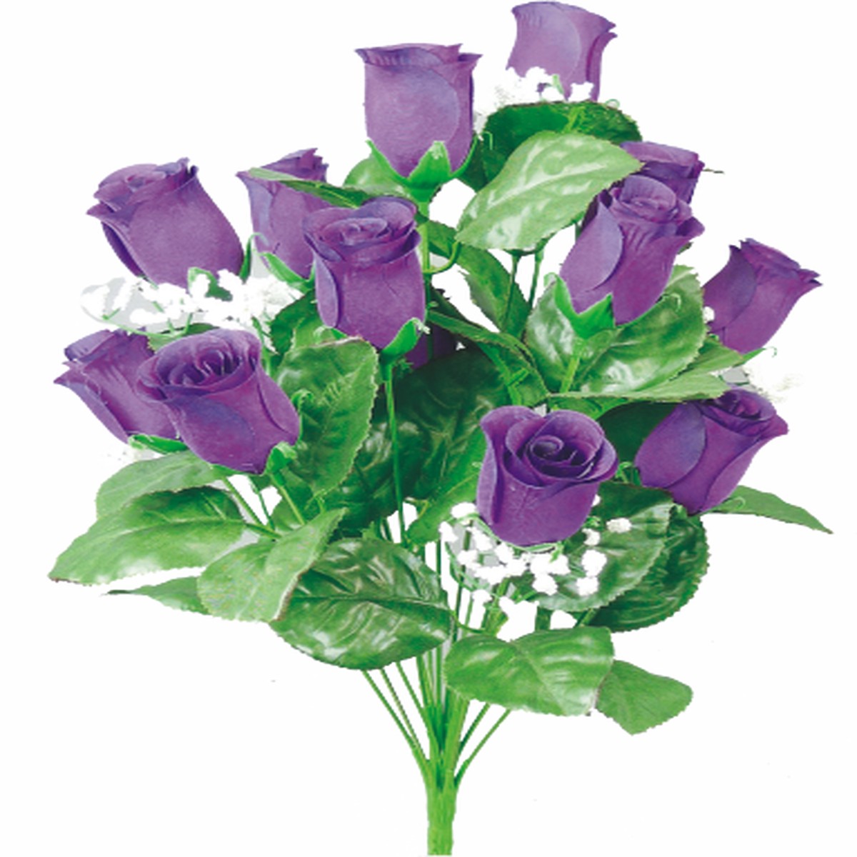 Colorfast Lillian Rose Bud Bush - Grape