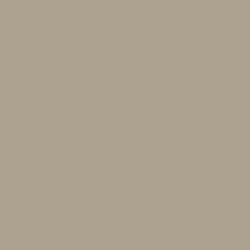 Fabric Riley Blake Trail Confetti Cotton by the Quarter Yard C120-TRAIL
