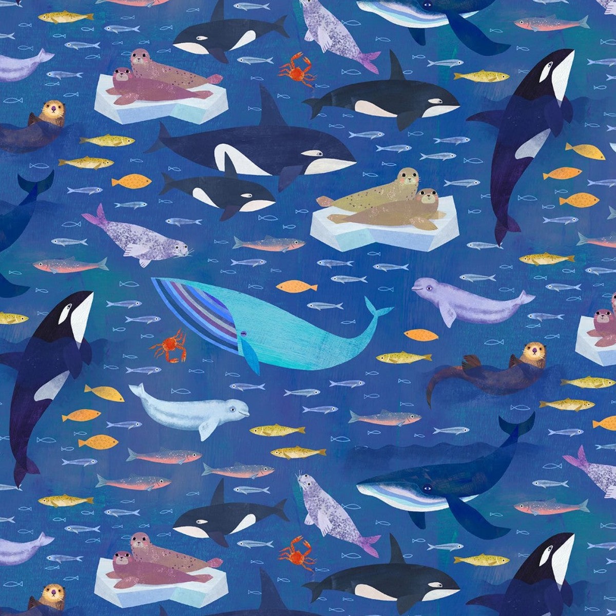 Michael Miller - Navy Gulf Of Alaska