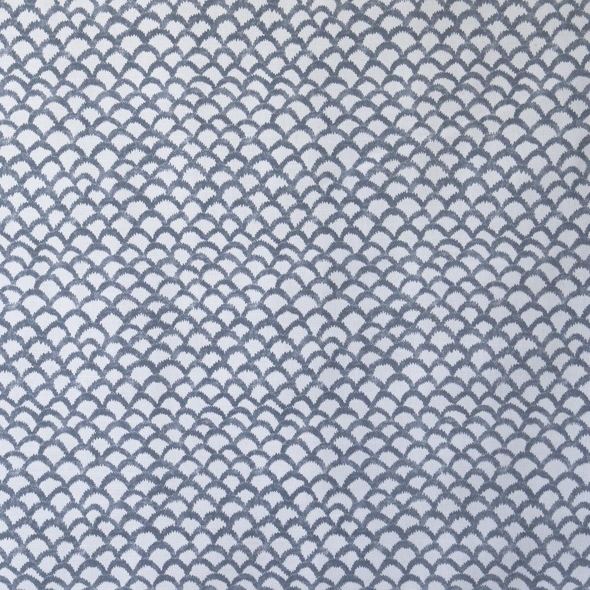 Roche-Blue