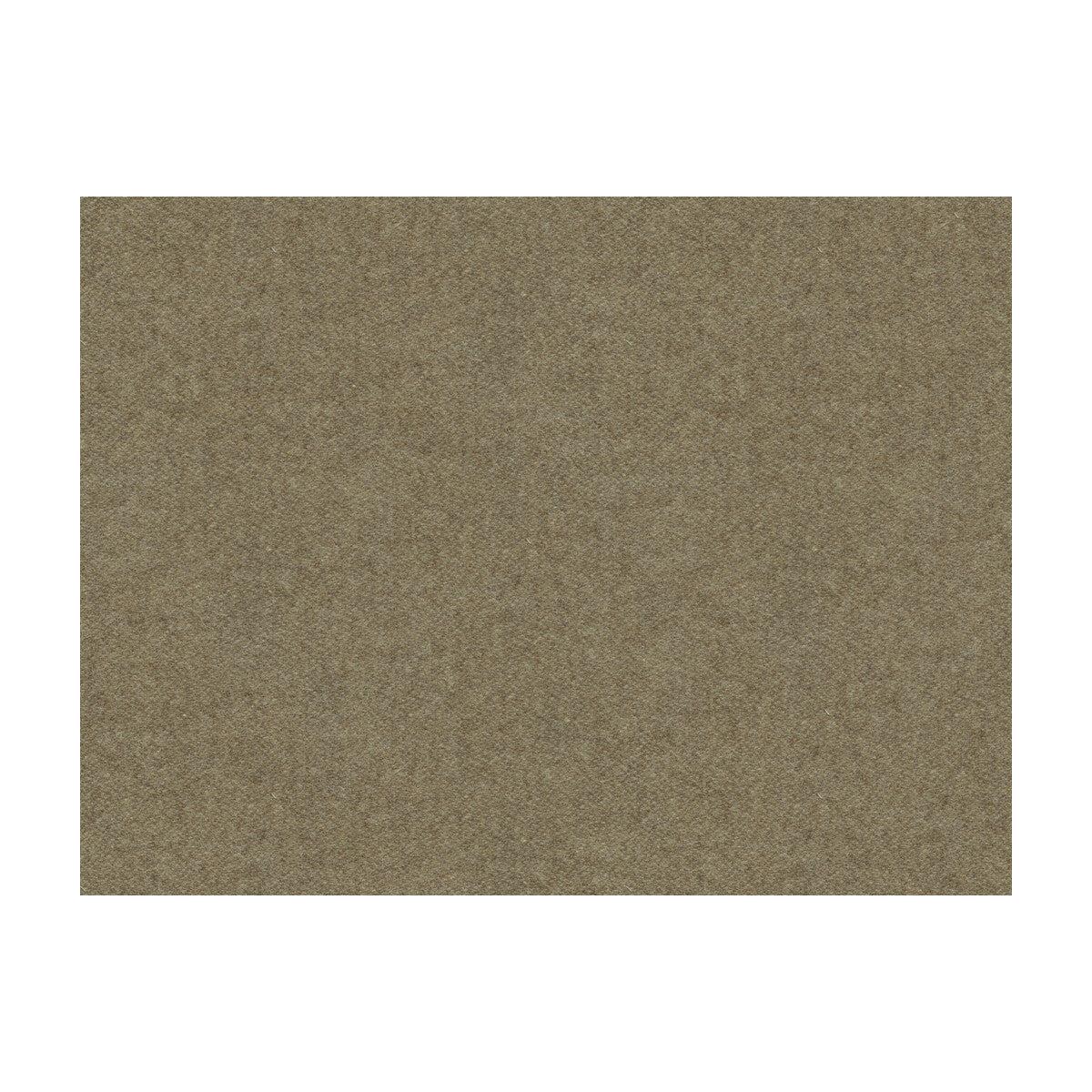 8013149.611.0 CHEVALIER WOOL PONGEE - BRUNSCHWIG & FILS Fabric - YARD