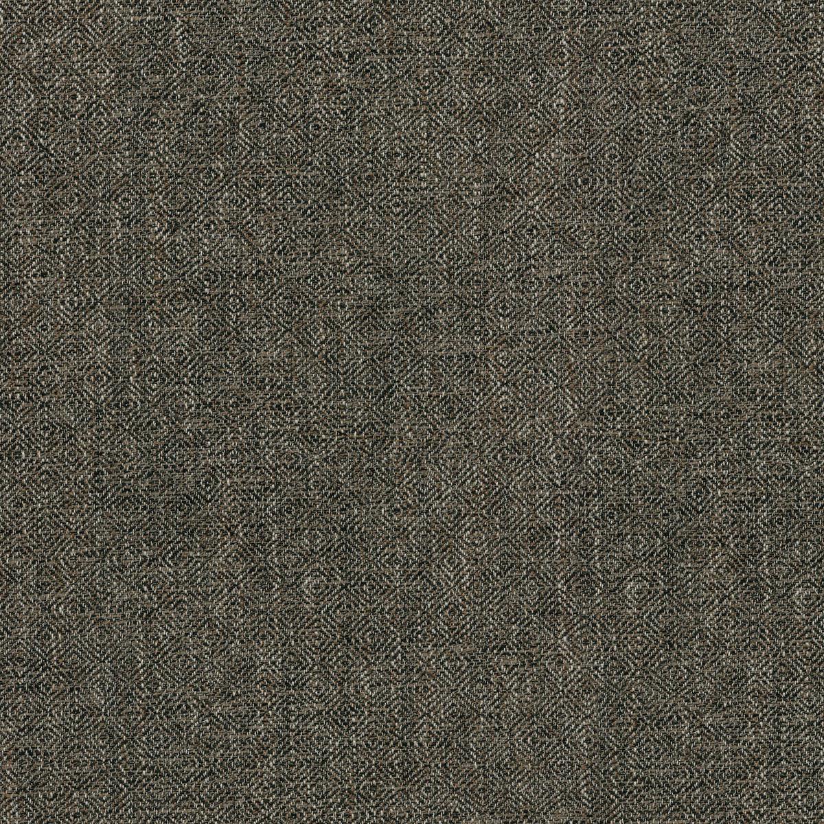 Cardiff 408232 Sable Performance+ Fabric