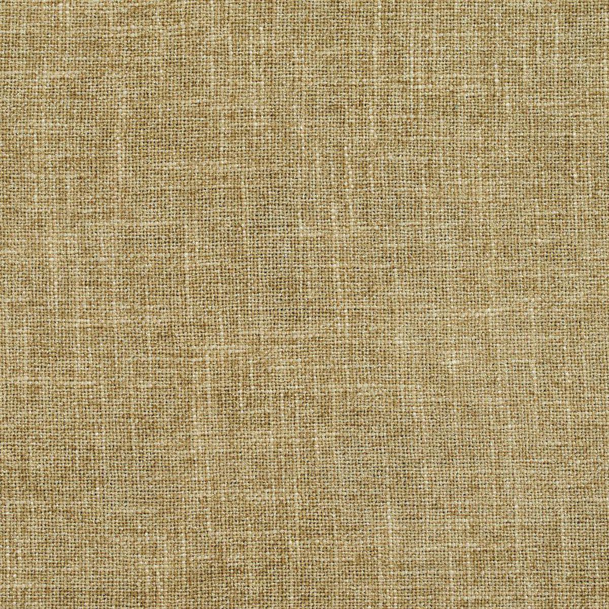 Charlotte - D697 - Sage - Fabric by the Yard - Sage