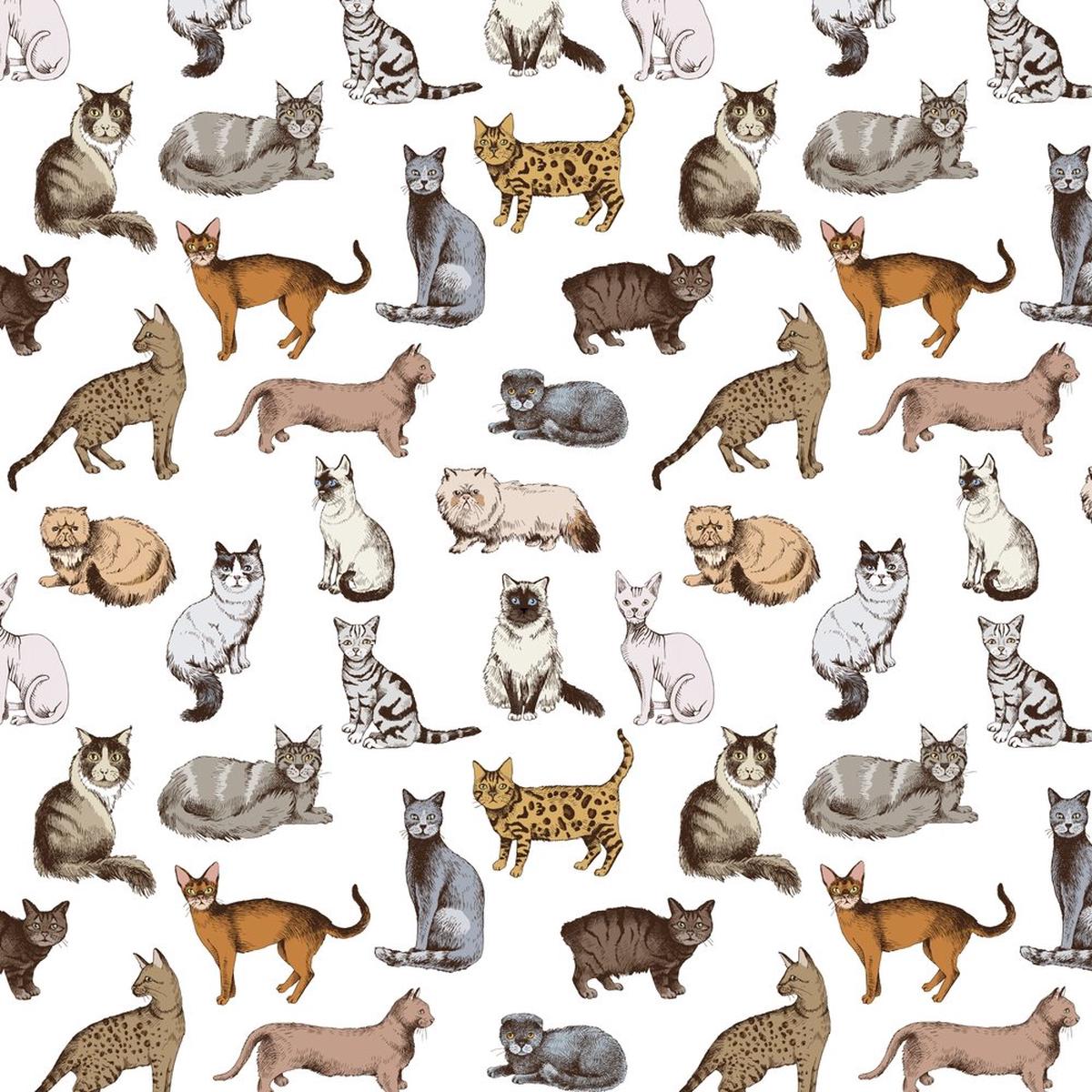 Purebred Cat Fabric - Multi