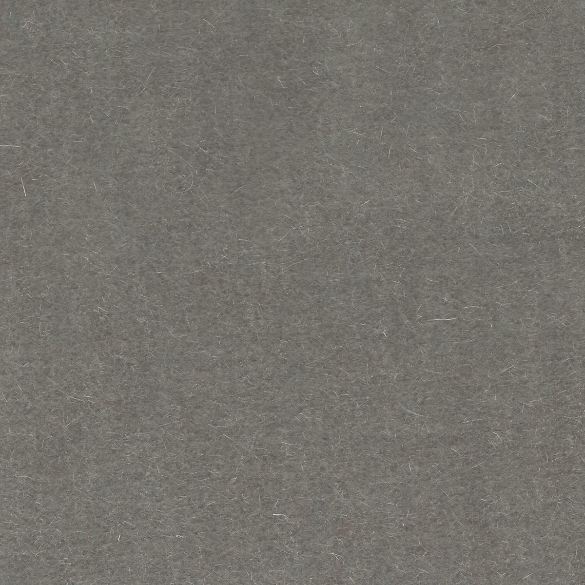 Majestic Mohair - Fog by Scalamandre Fabric