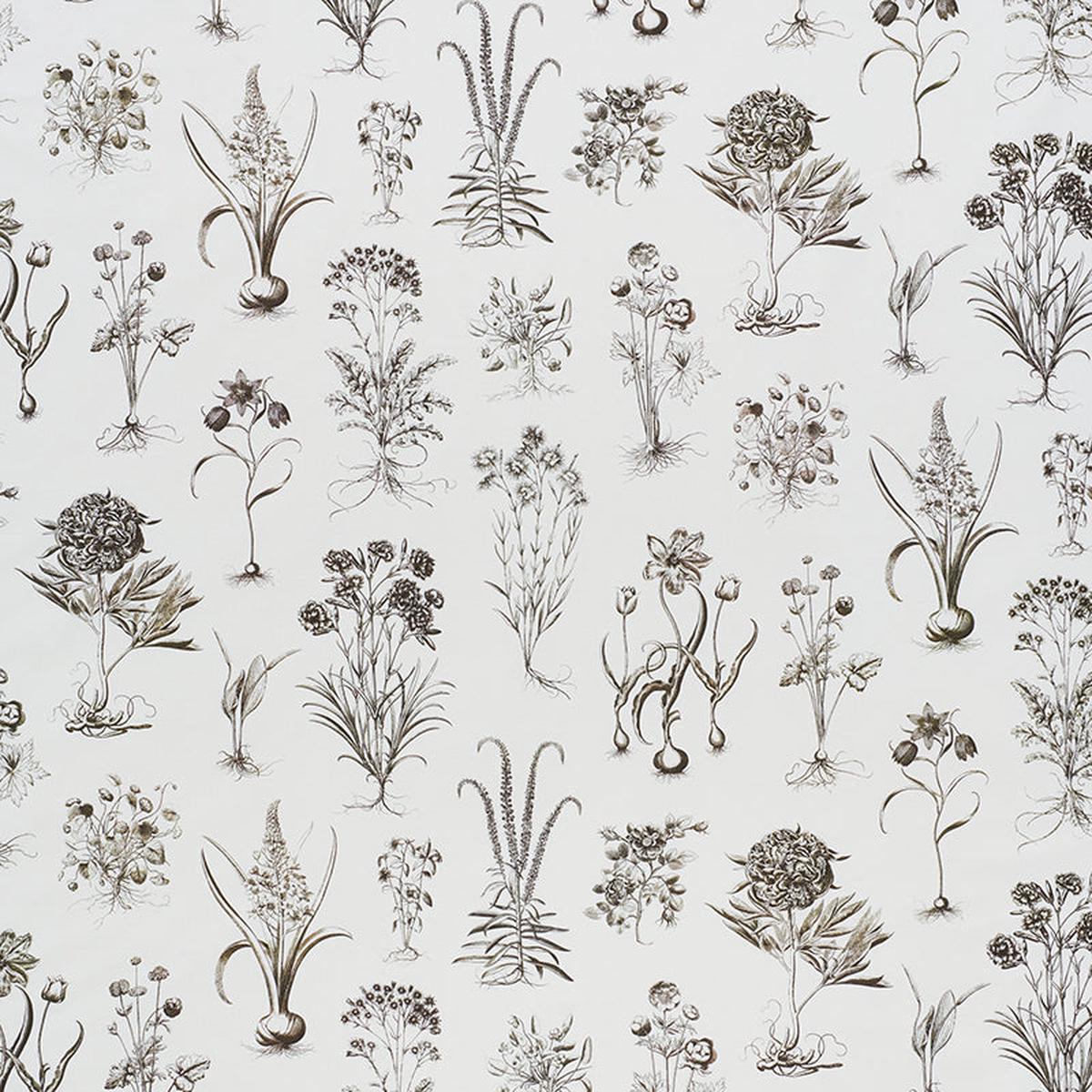 SCHUMACHER SCHUMACHER CLASSICS CABOT BOTANICAL PRINTS PRINTS IVORY - 178751