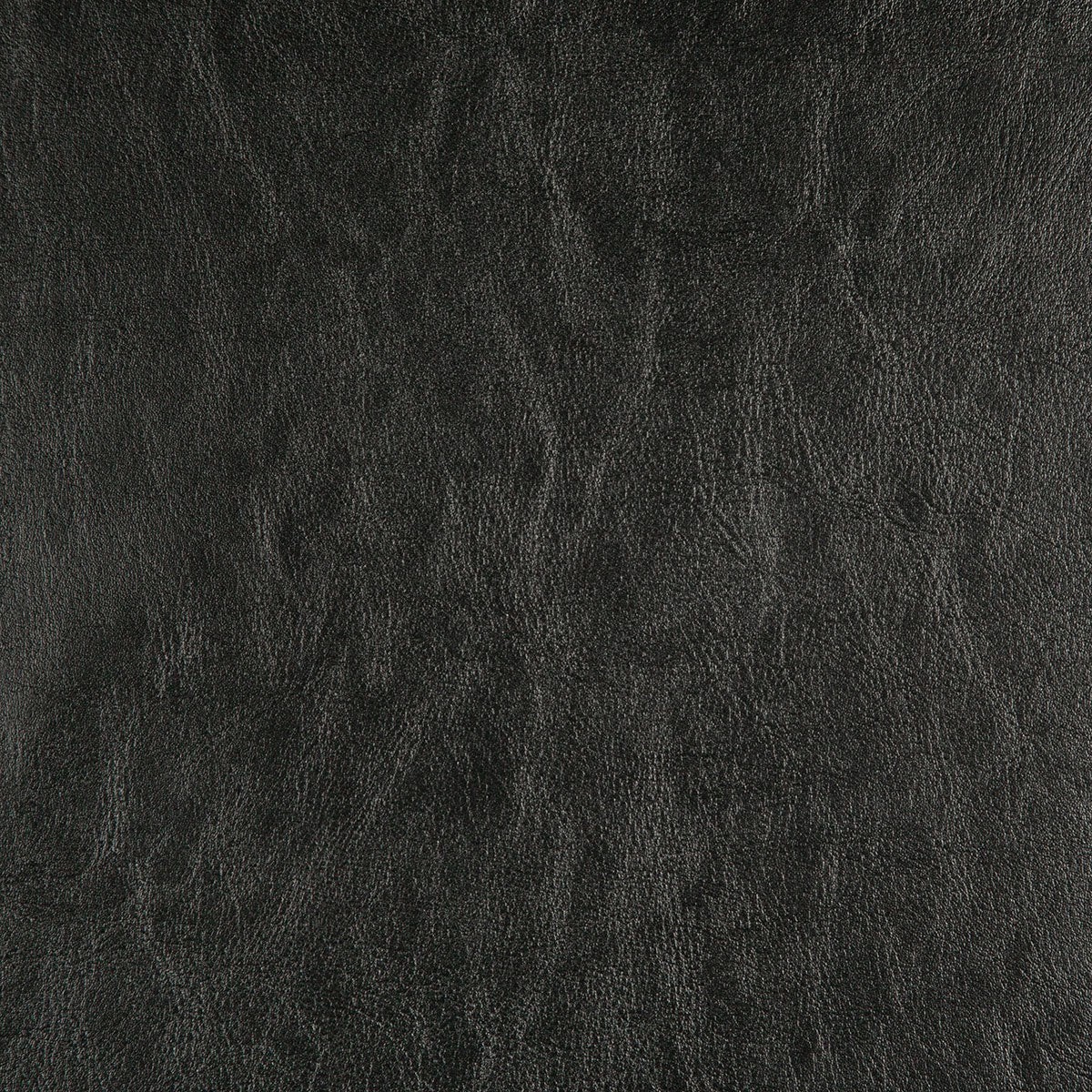 8372 CARTER-BLACK - Pindler Fabric