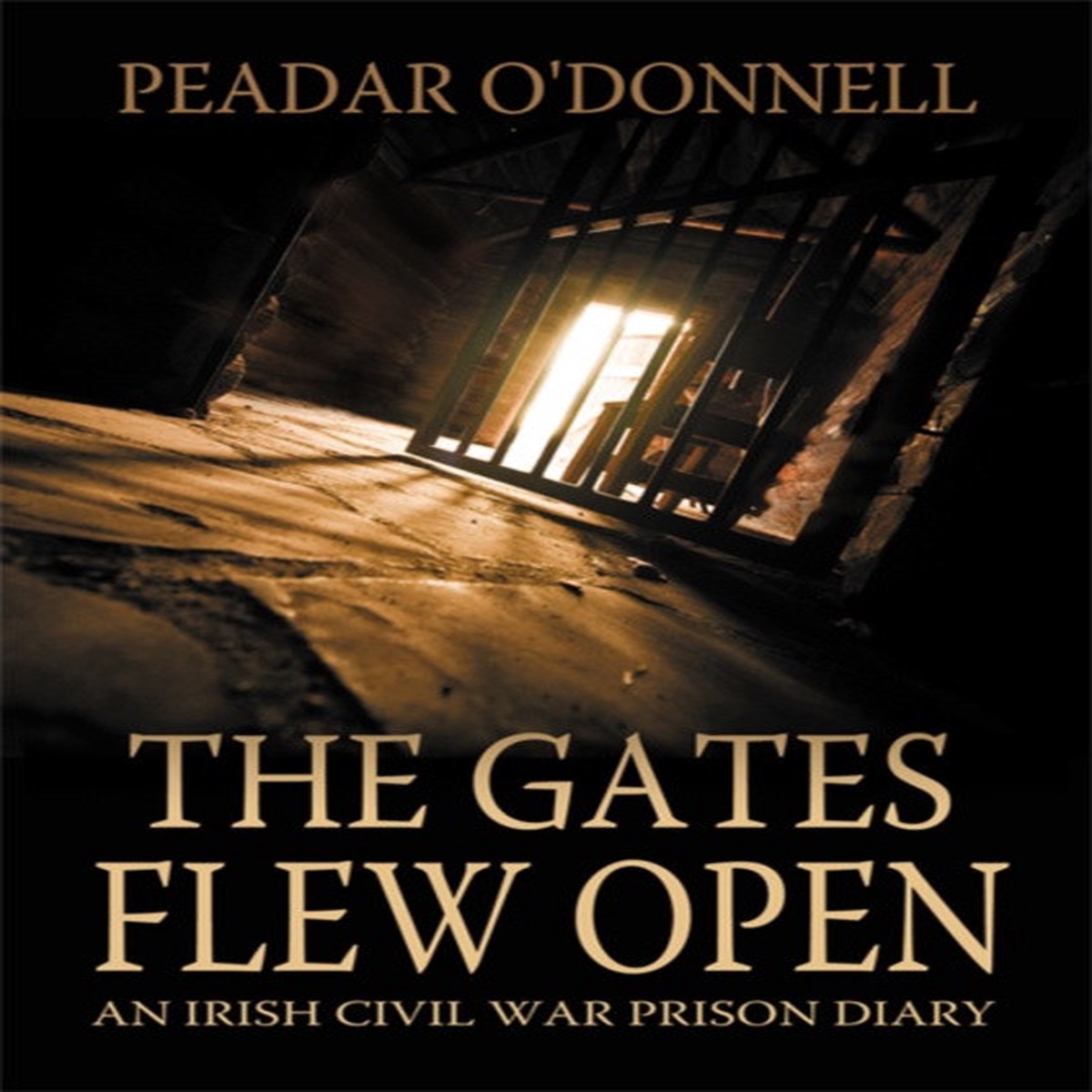 The Gates Flew Open: An Irish Civil War Prison Diary by Peader O'Donnell