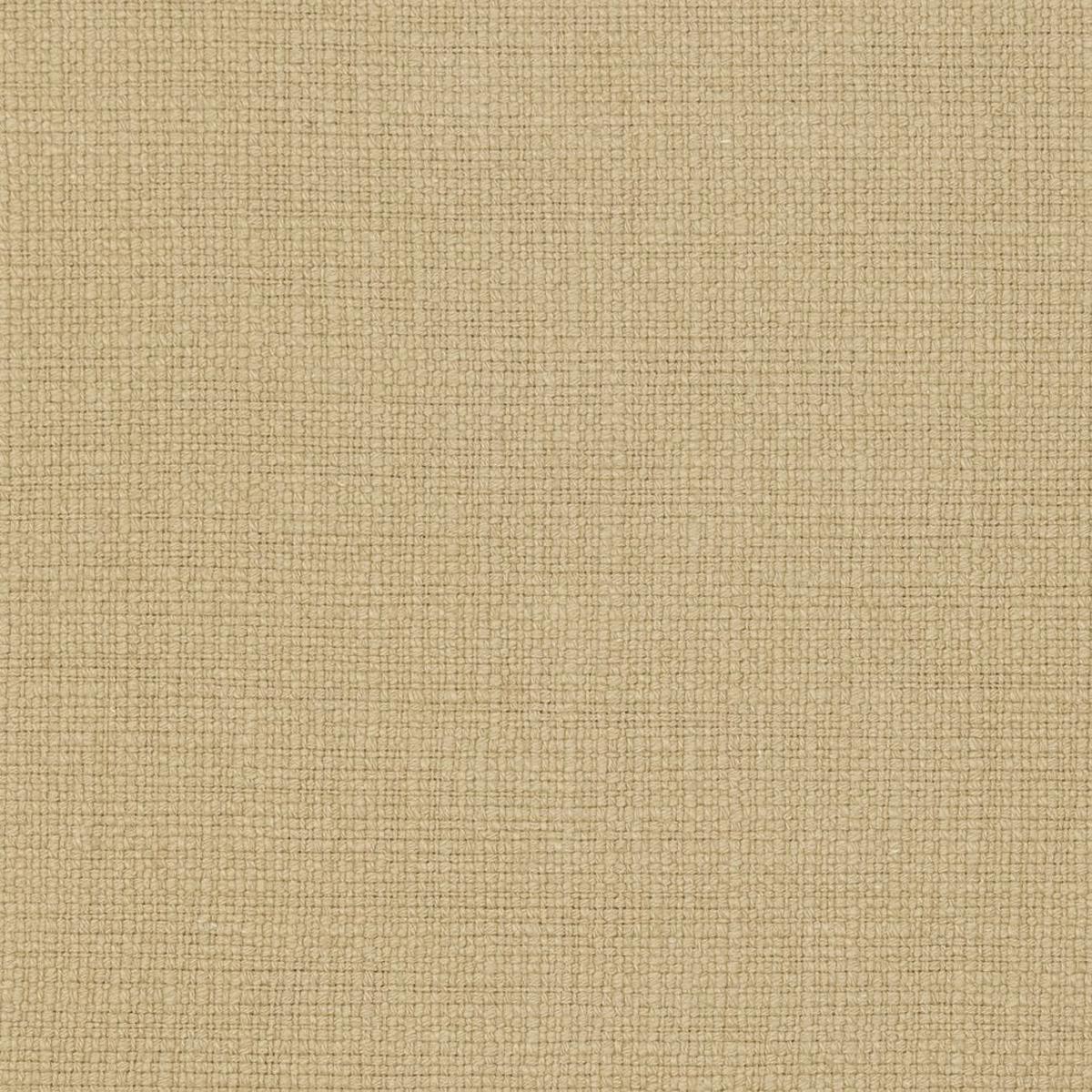 Charlotte - 31000-20 - Fabric by the Yard - 31000-20
