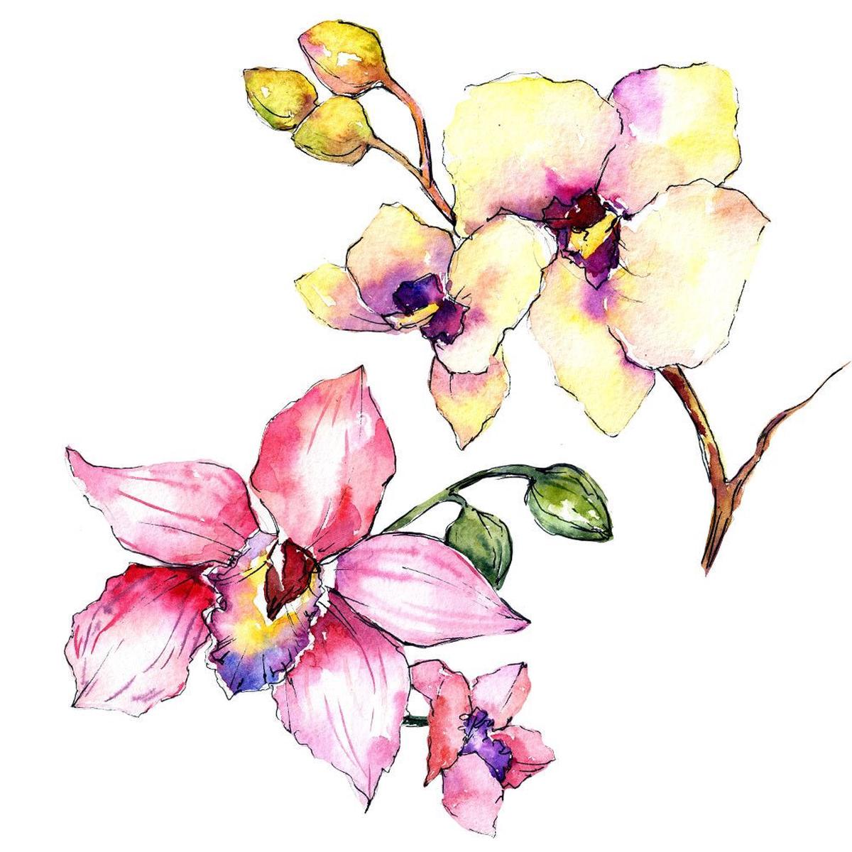 Watercolor Wildflower Orchid 2 Fabric Panel