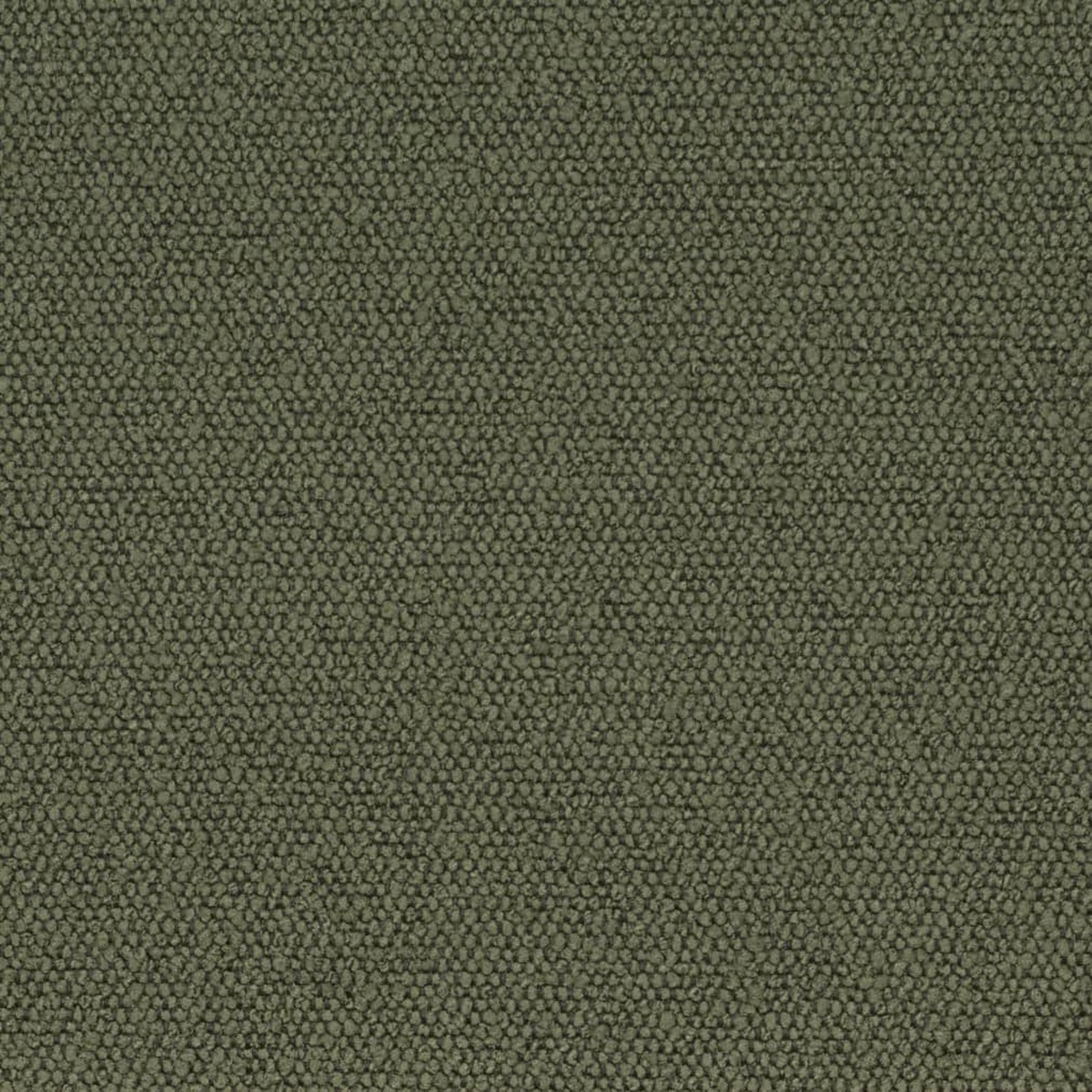Charlotte - D3628 - Olive - Fabric by the Yard