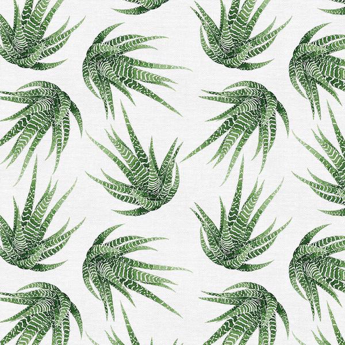 Modern Botanicals - Haworthia Succulent - Paintbrush Studio Cotton Fabrics - By the Yard (45 inches wide)