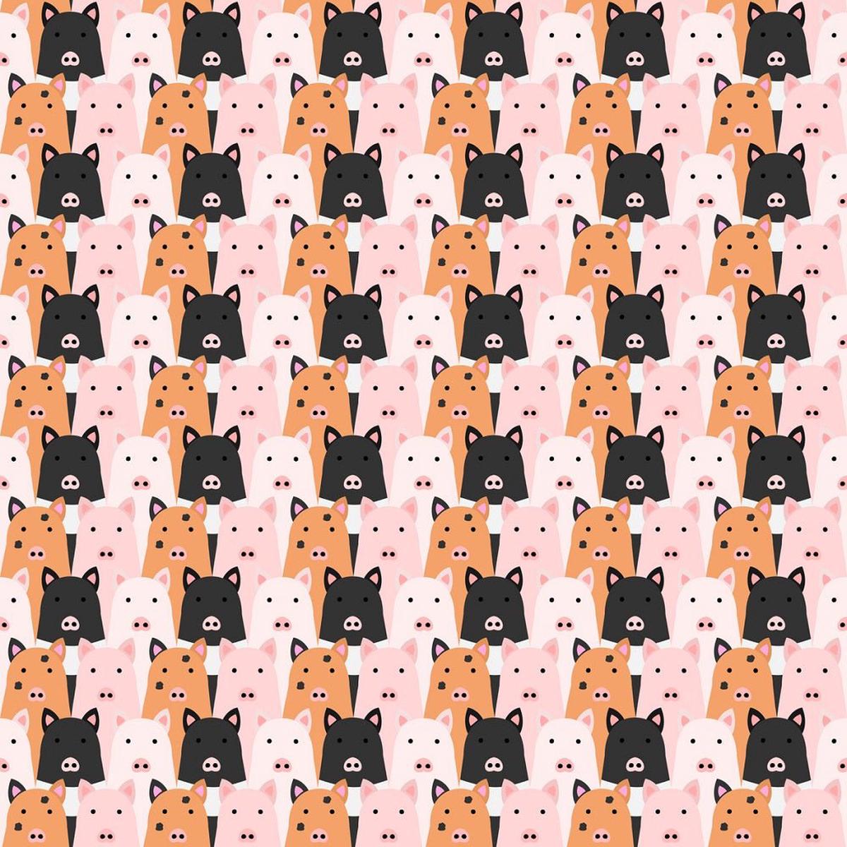 Packed Cartoon Pigs Fabric - Multi