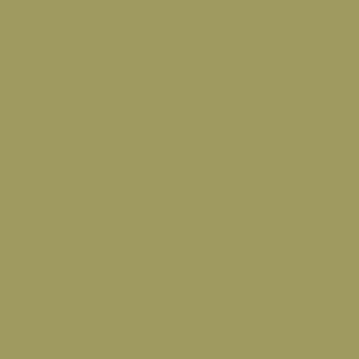 SALE Olive Solid Confetti Cottons - Riley Blake Designs - Green Quilting Cotton Fabric