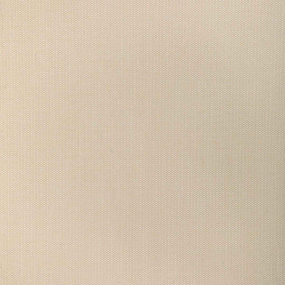 Kravet Smart 37337 161 Fabric