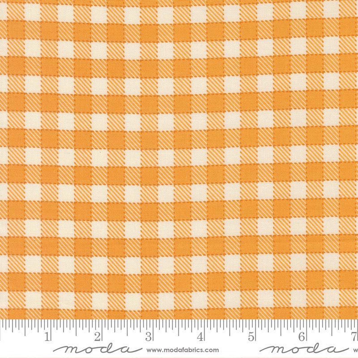 SALE Animal Park Fun Checks 20966 Canary - Moda Fabrics - Stripes Squares - Quilting Cotton Fabric