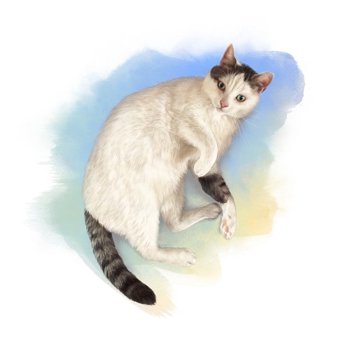 Domestic Cat Portrait Fabric Panel