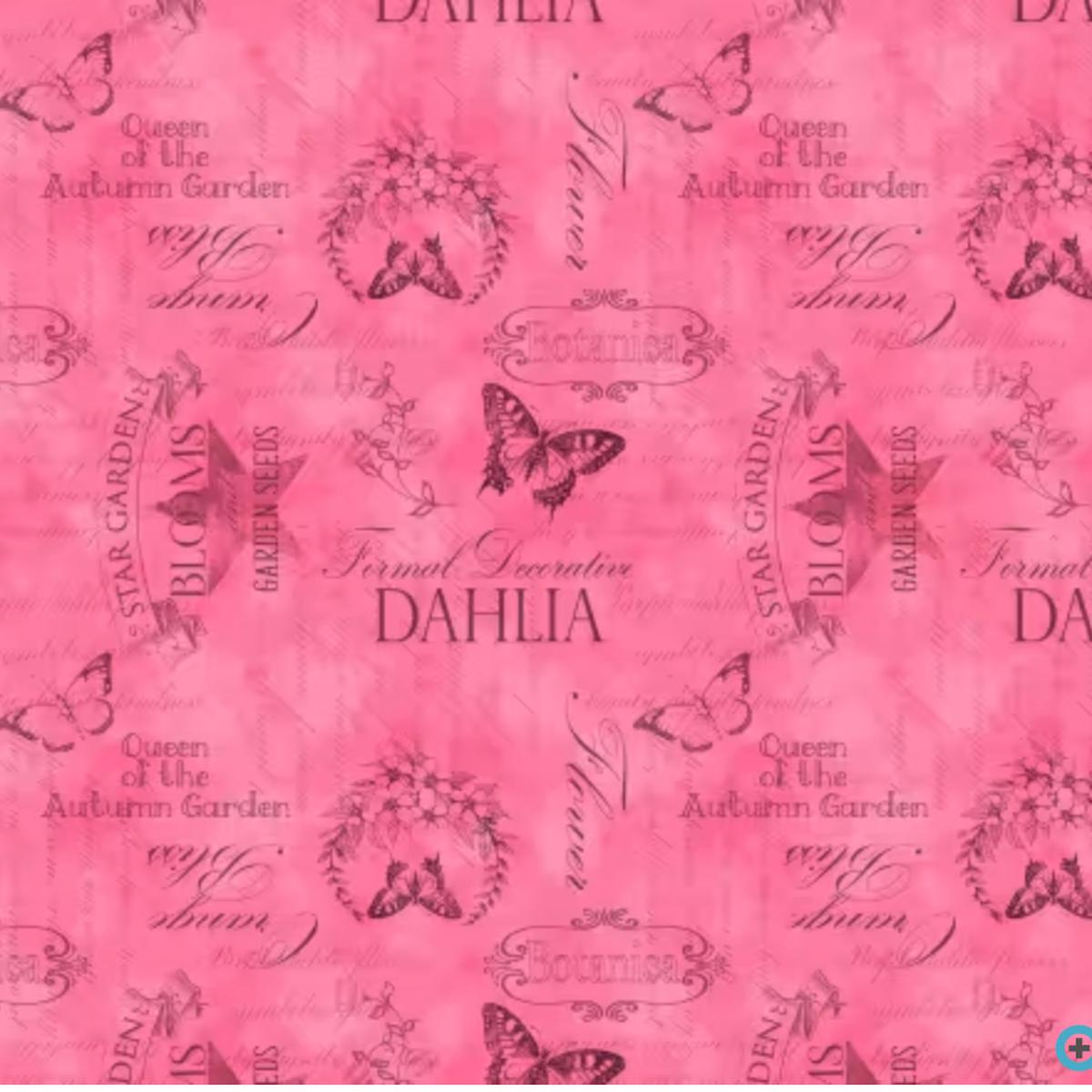 Dahlia Botanica-Ephemera Pink