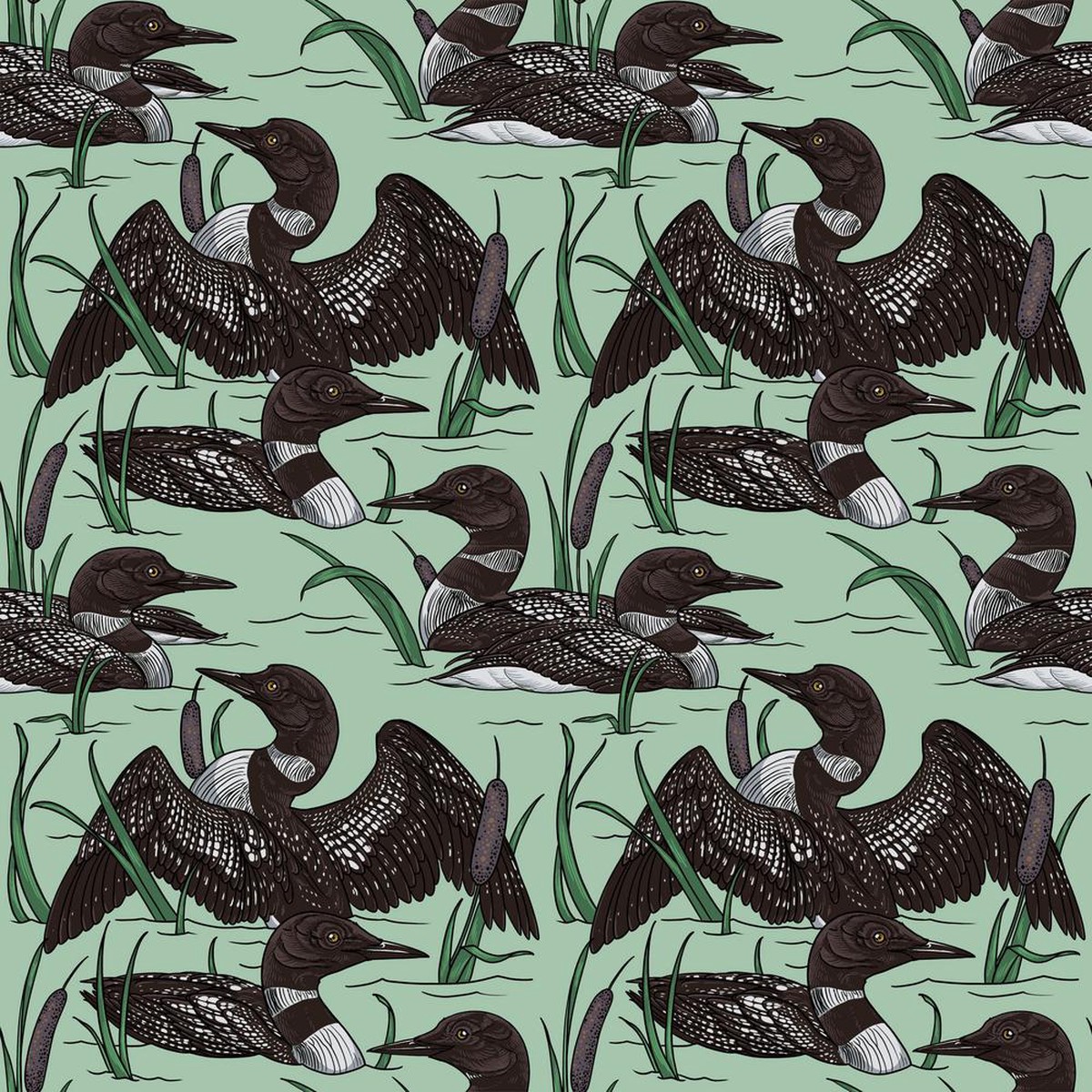 Rachel Hauer - Birds of a Feather - Loons in Oasis