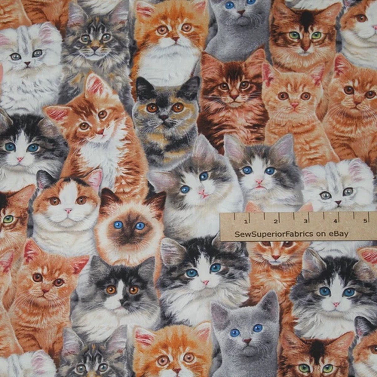 Cat Breeds Russian Blue Persian Siamese Tabby Cotton Fabric 32" x42" #3802
