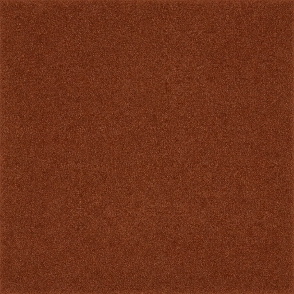 Laguna Velvet Coffee Bean