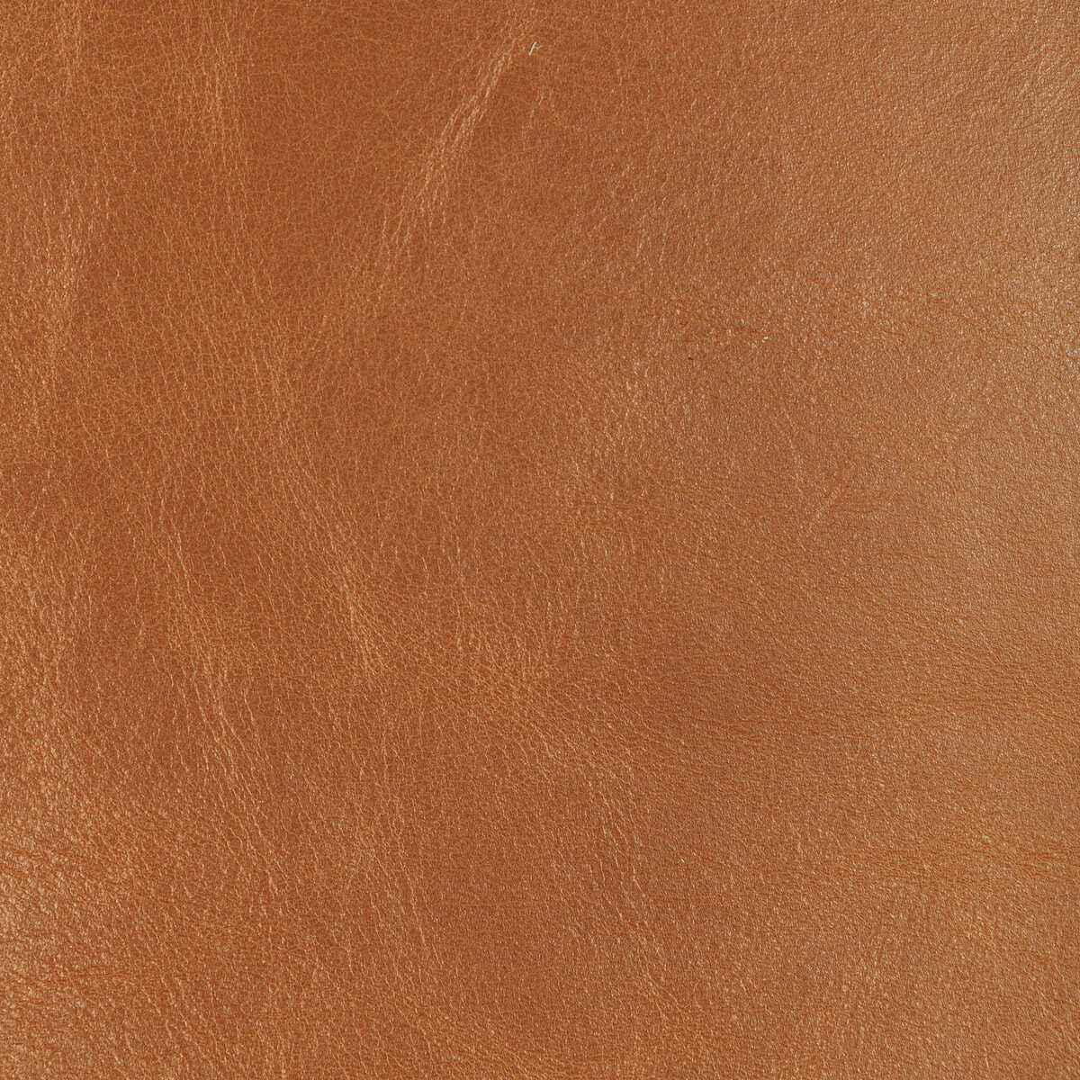 Ldroverssaddle0 Kravet Design L Drovers Saddle Kravet Design Fabric