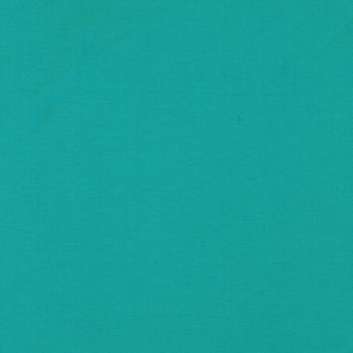 Zen Caribe Covington Fabric