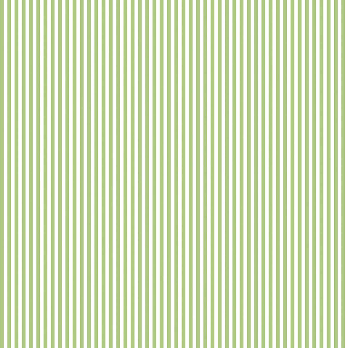 Stripes | Riley Blake Designs | 1/8" Green