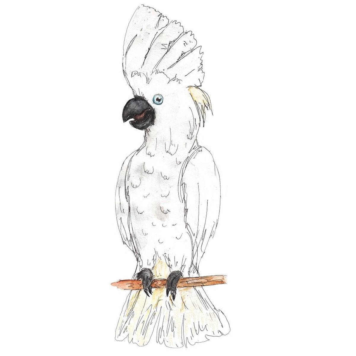 Watercolor Parrot Fabric Panel