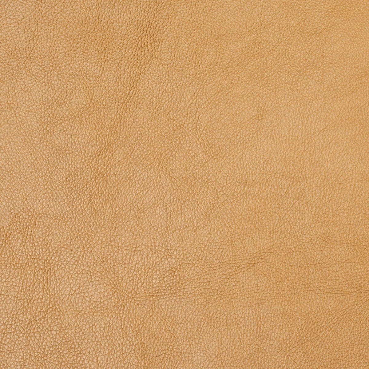 Charlotte - 8069 - Gold - Fabric by the Yard