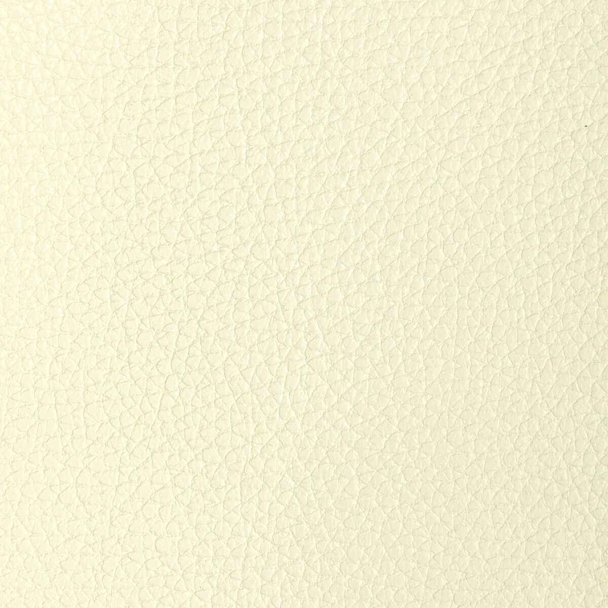 Ltucumivory0 L Tucum Ivory Kravet Design Fabric