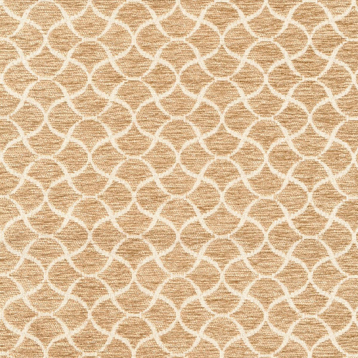 Wiggle Saffron Regal Fabric