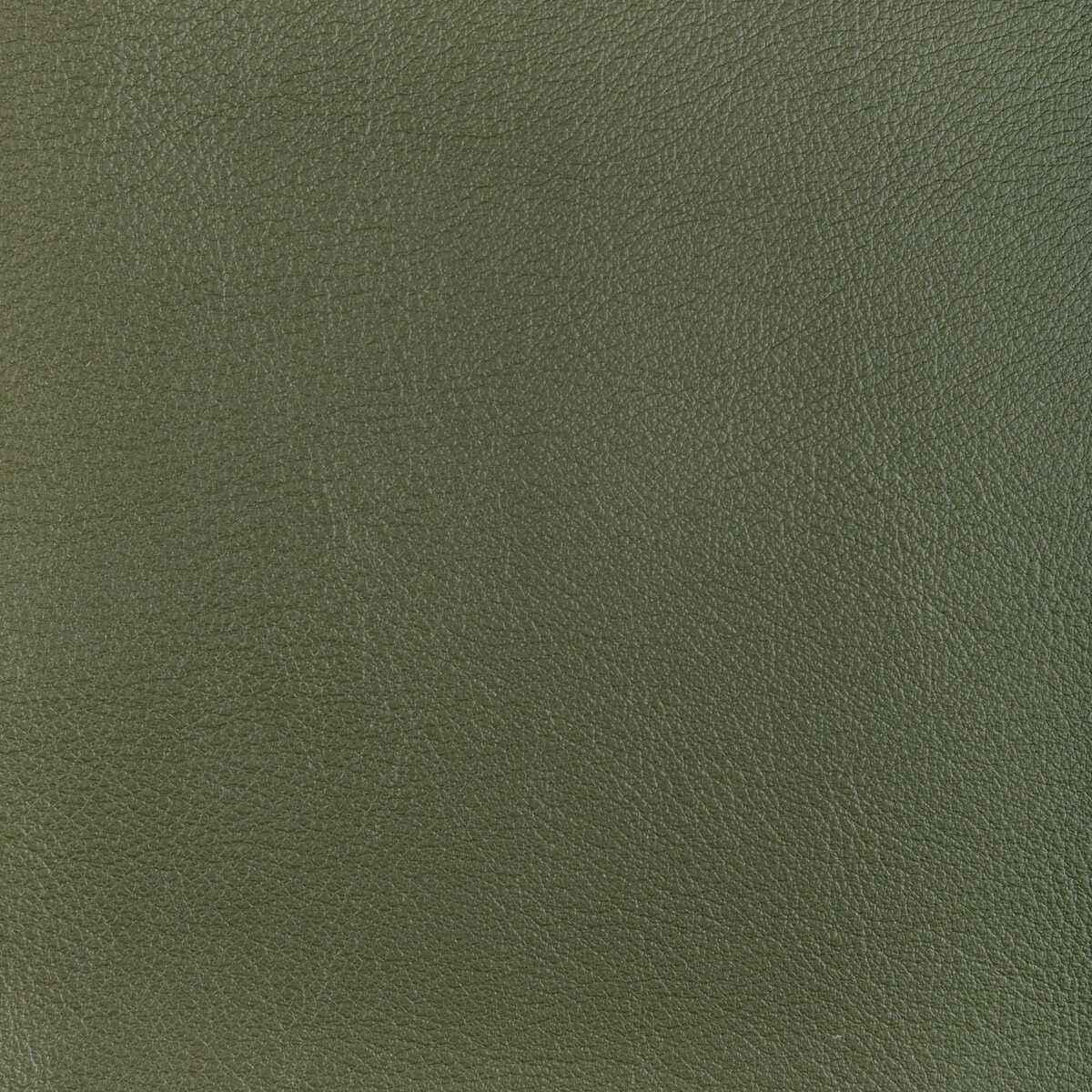 Locotillohunter0 Kravet Design L Ocotillo Hunter Kravet Design Fabric