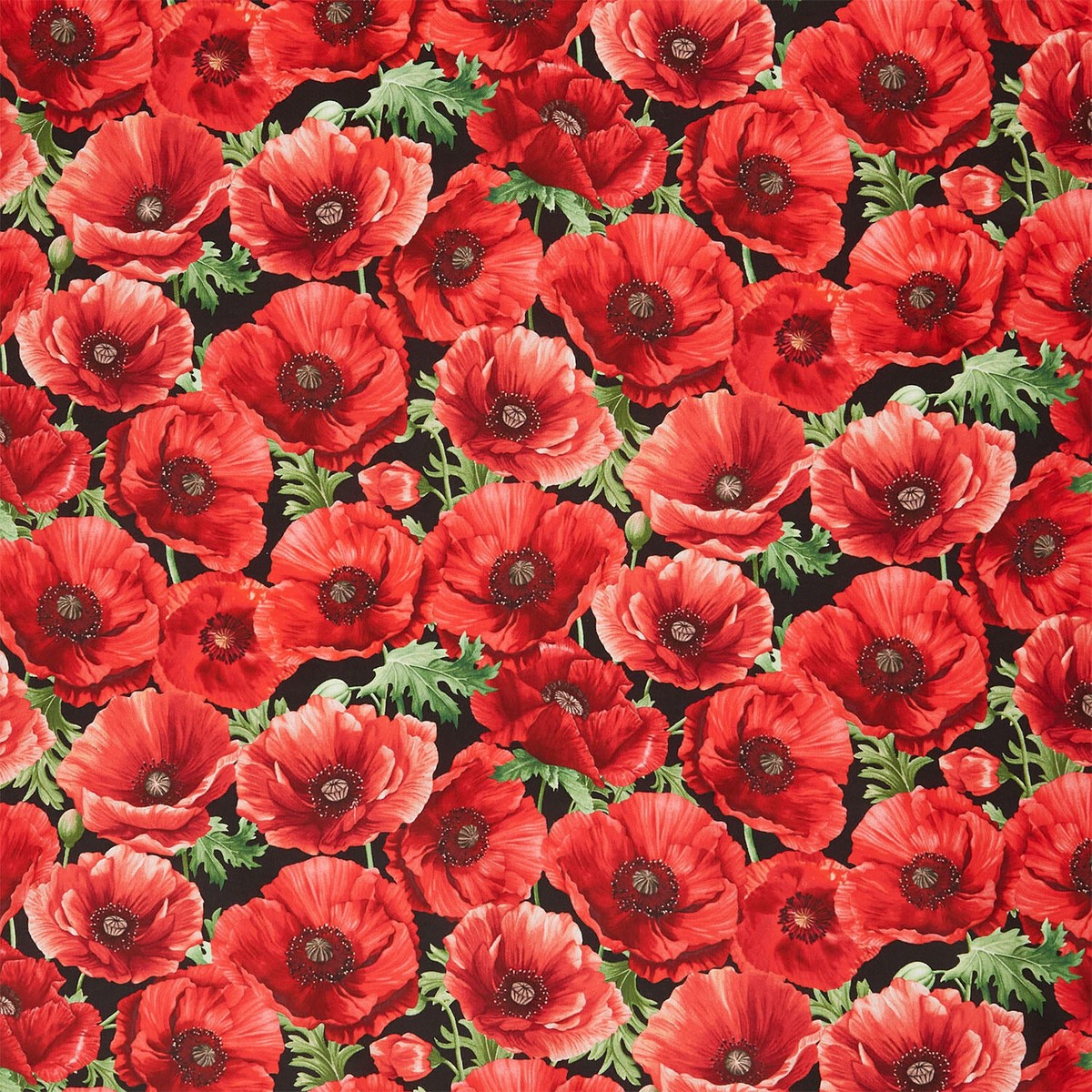 Poppy Passion - Large Poppy Floral Black Yardage