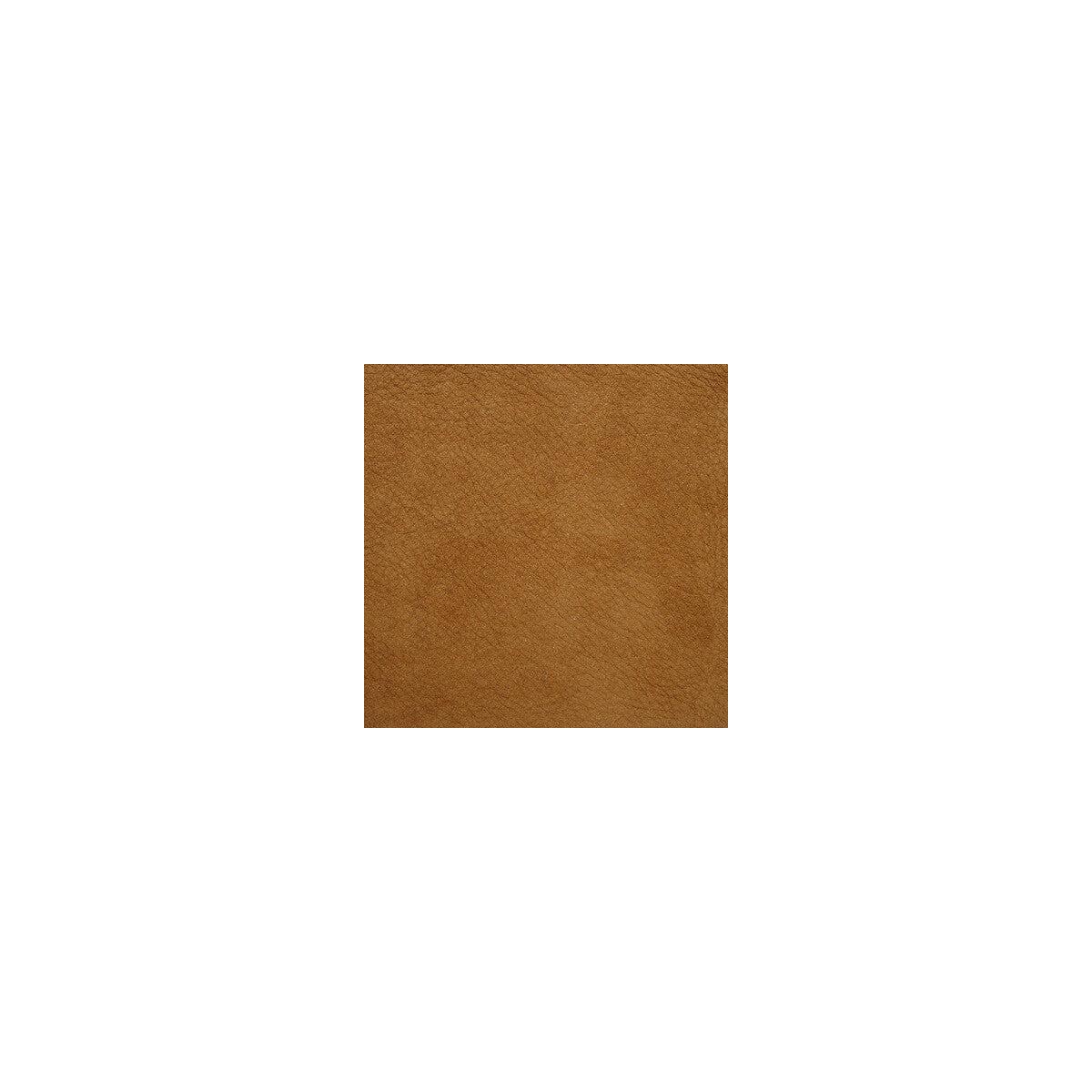 KRAVET DESIGN - KRAVET DESIGN- L-SAGUARO-SAND - Fabric by the SQUARE FOOT - L-SAGUARO-SAND