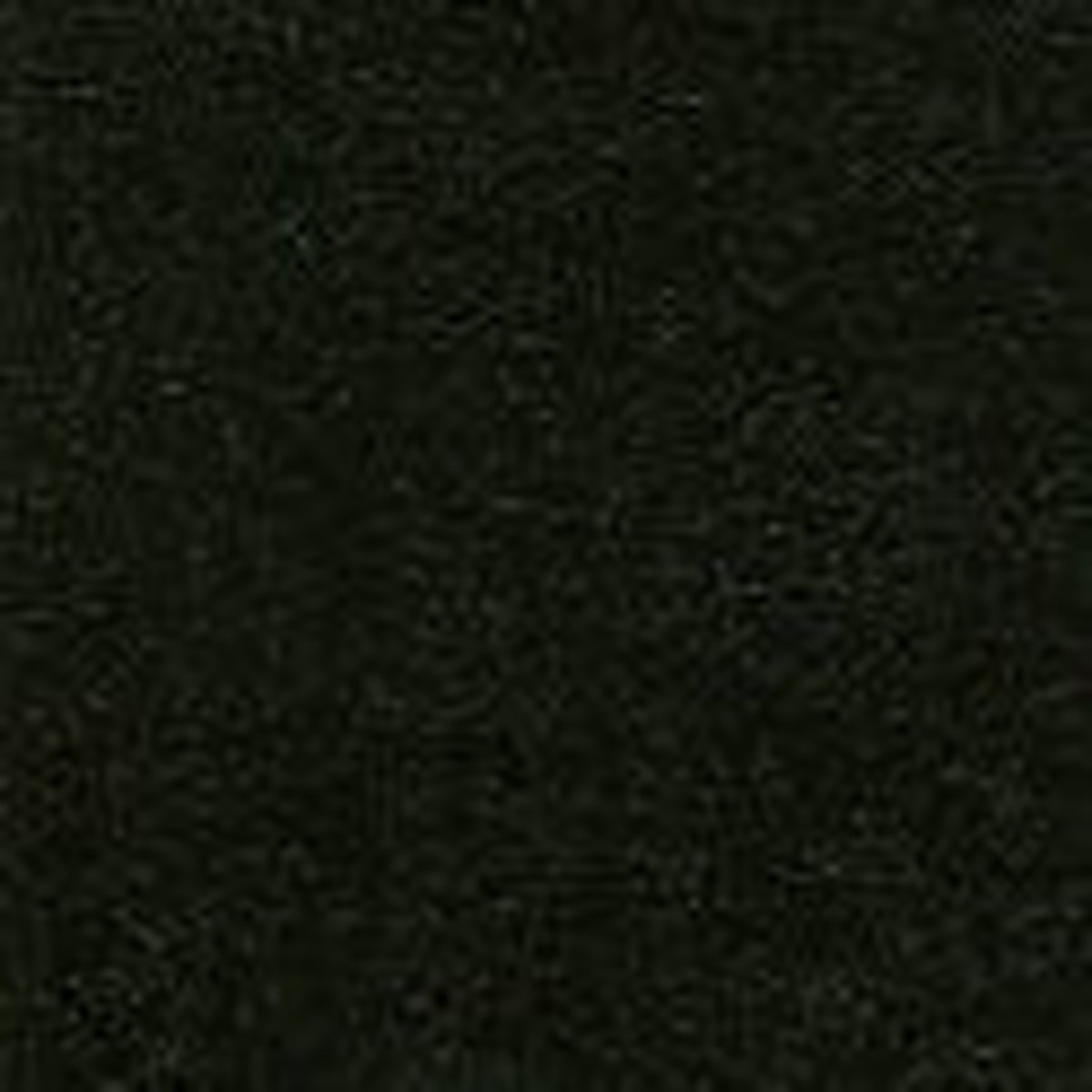 AQUA-TURF Black Marine Carpet 72" - Sold by the CONTINUOUS YARD!