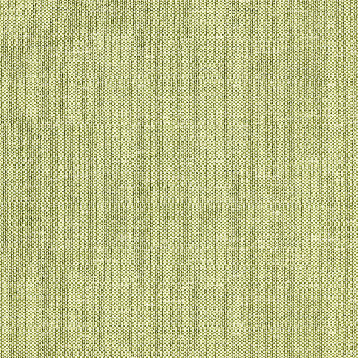 Chester Weave - Leaf by Scalamandre Fabric