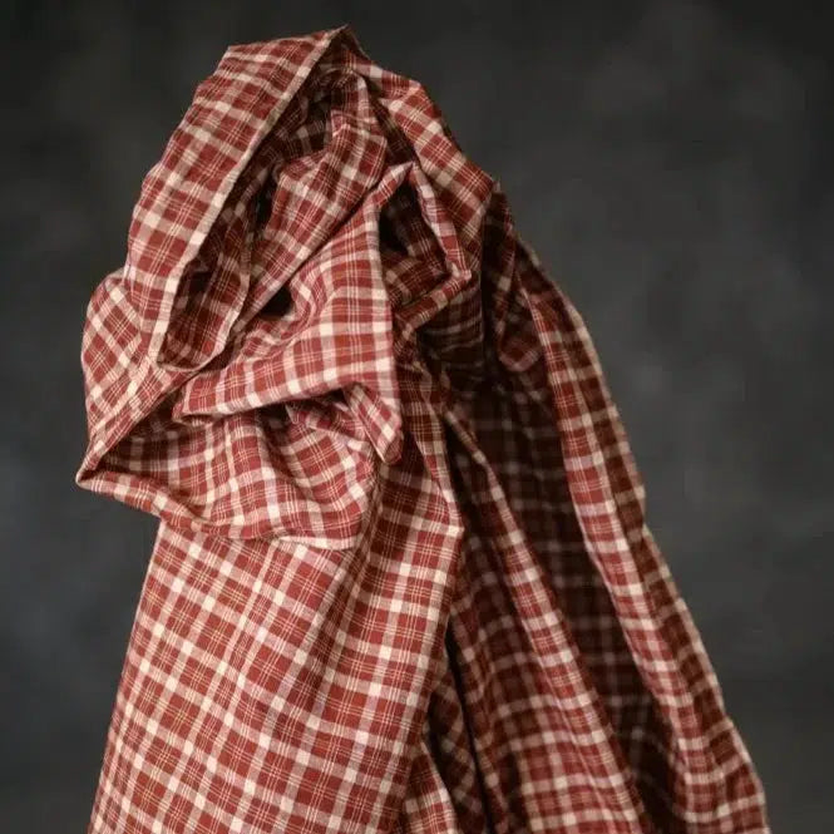 Bakewell Check Indian Cotton