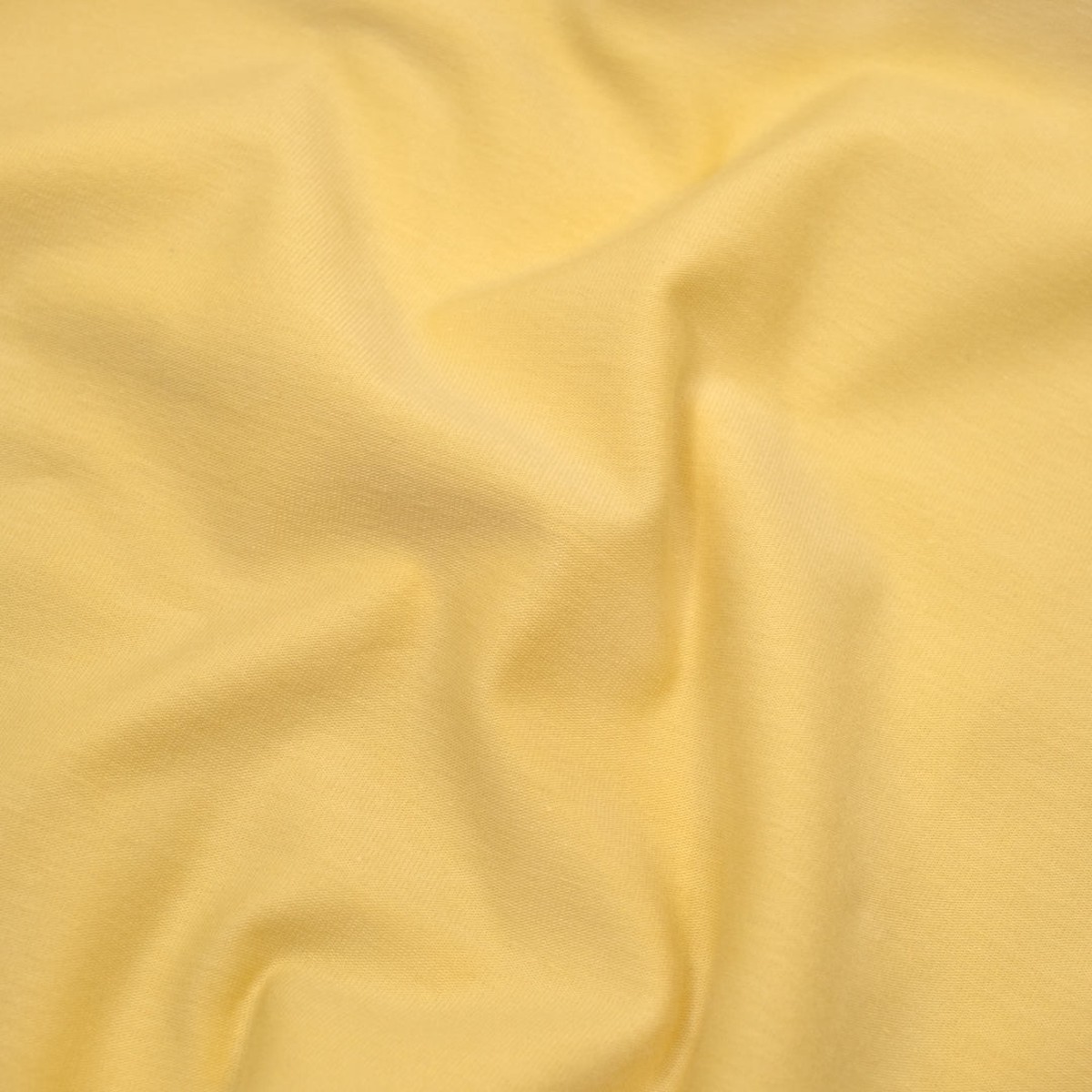 Cotton Jersey Knit - Butter