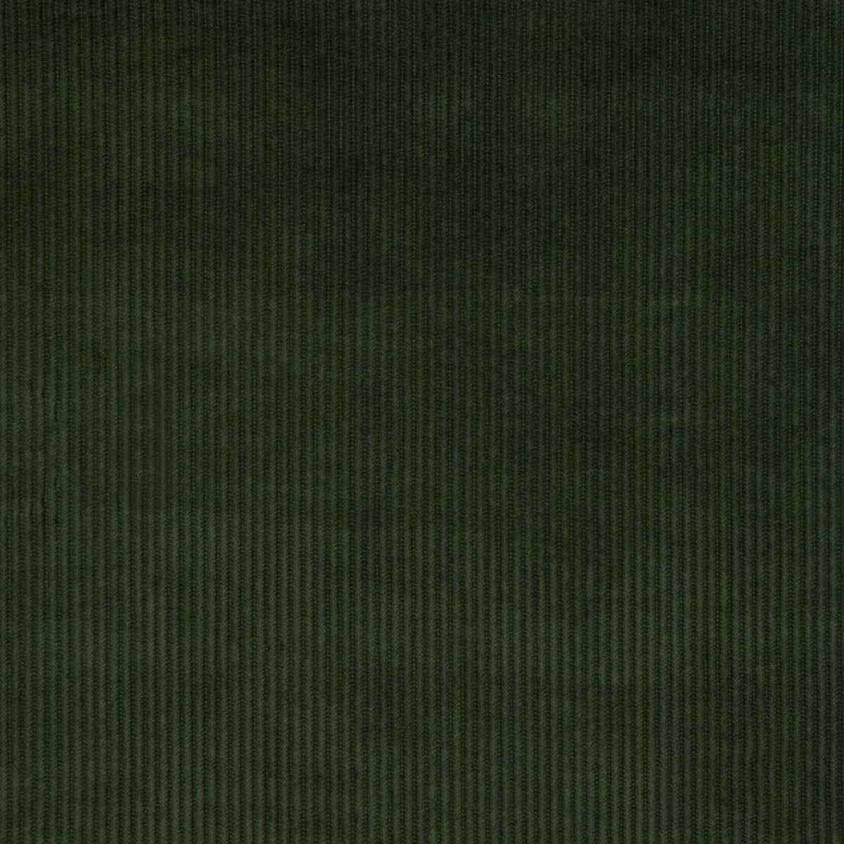 Kravet Smart 37006 3333 Fabric