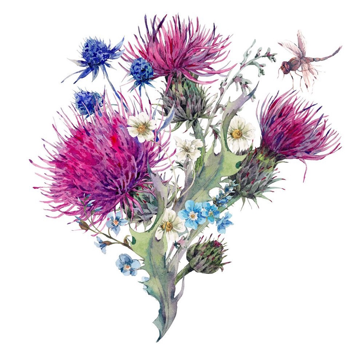 Watercolor Thistles Wildflowers Variation 1 Fabric Panel