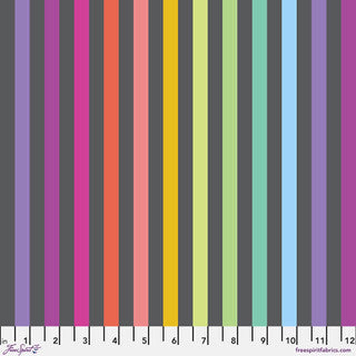 True Colors Graywork By Tula Pink - Disco Stripe-Carbon