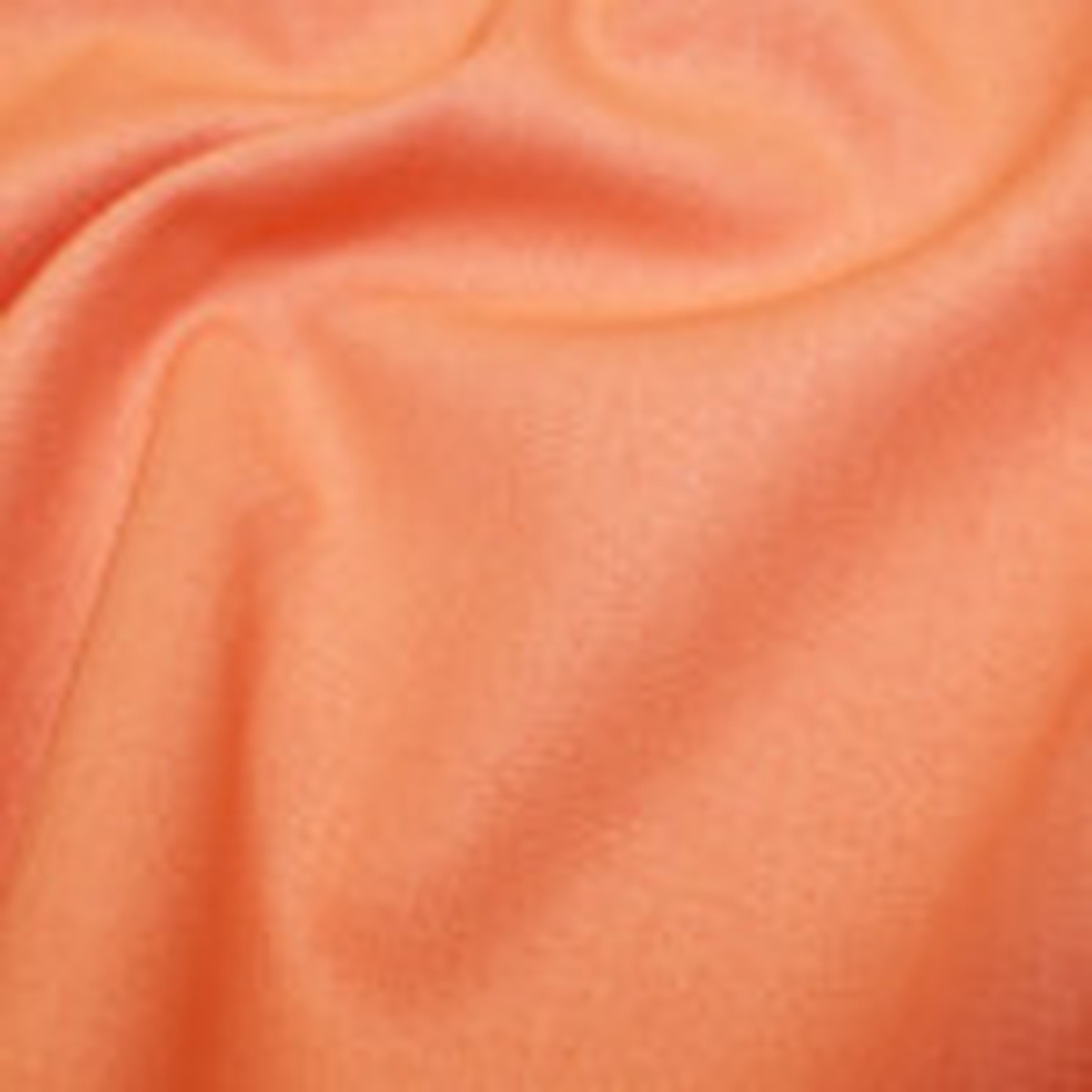 Rose & Hubble SALMON per 25cm