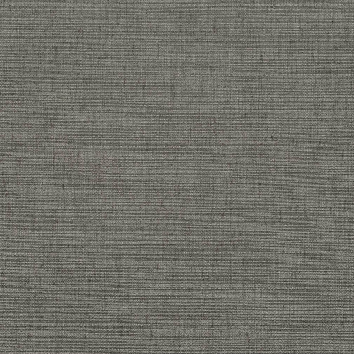 D3691 Plain & Solid Graphite Grey & Silver Charlotte Fabrics