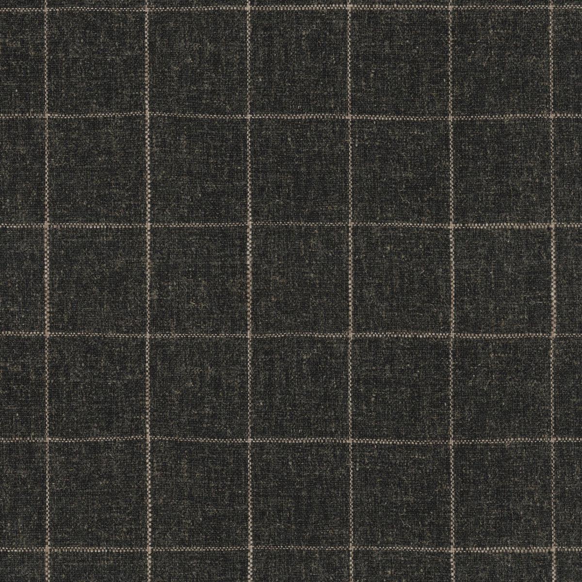 Concord Pane Sable Performance + PK Lifestyles Fabric