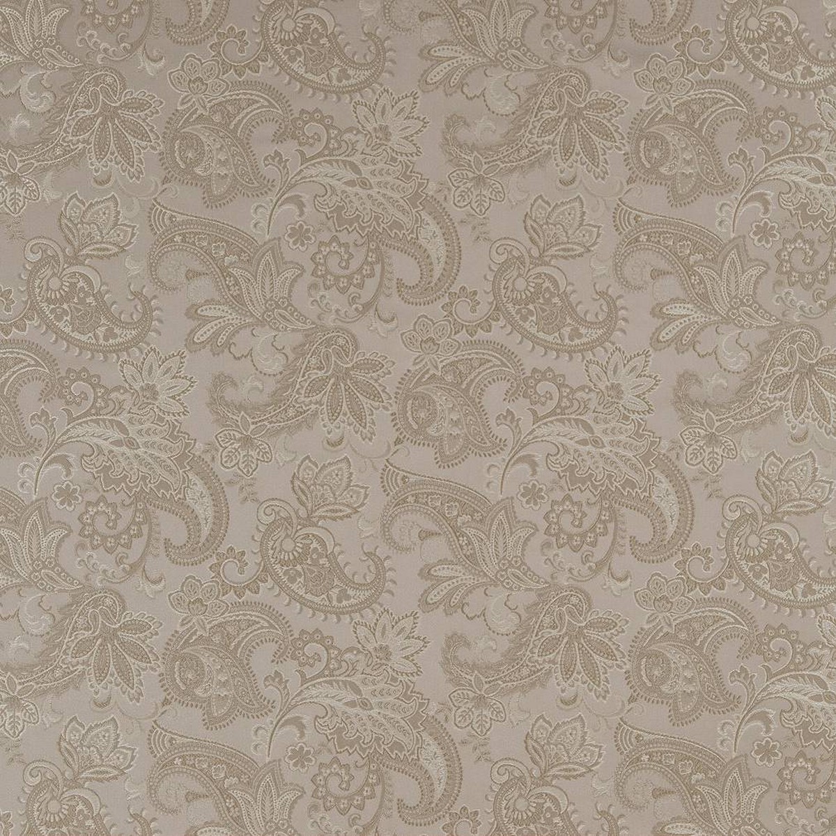 D1558 Floral,Paisley Pewter Paisley Grey & Silver Charlotte Fabrics