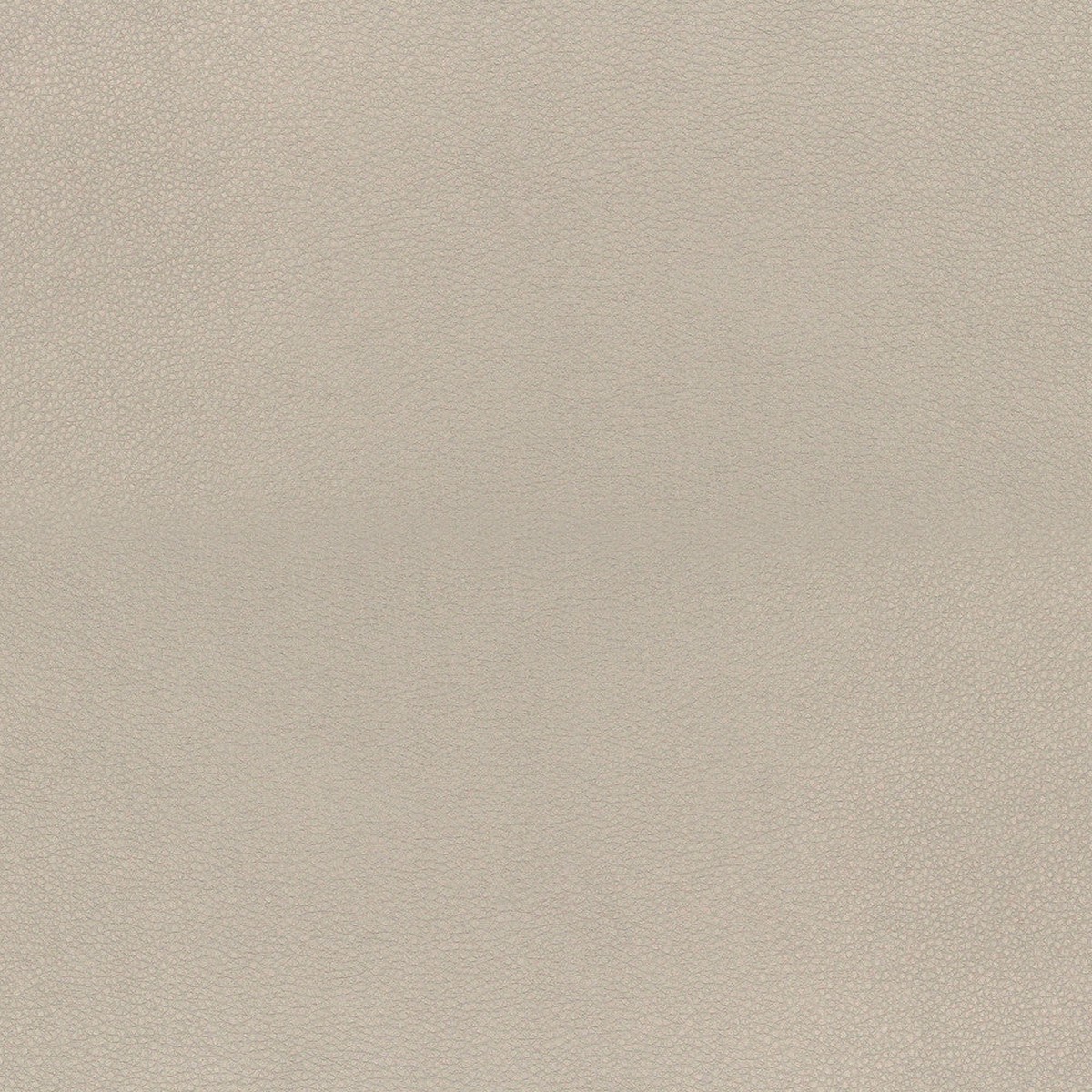 Concave Natural Richloom Fabric