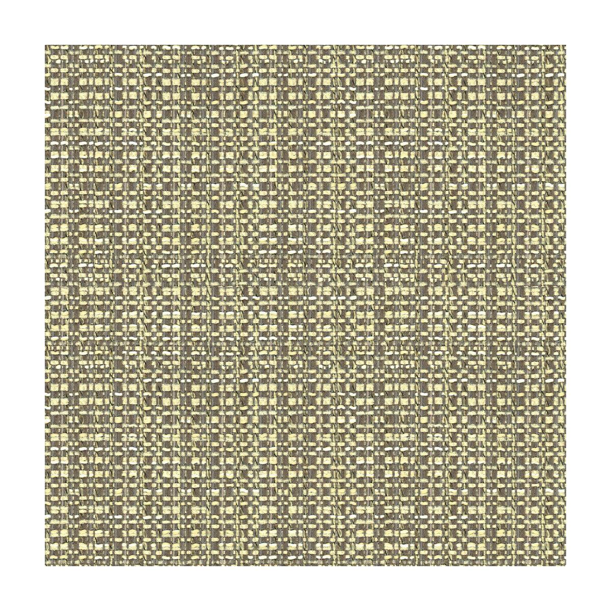 34210.1121.0 KRAVET DESIGN 34210-1121 - KRAVET DESIGN Fabric - YARD